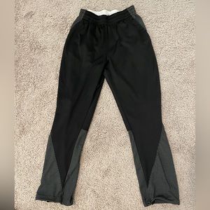 Nike Air Jordan Dri Fit Sweatpants